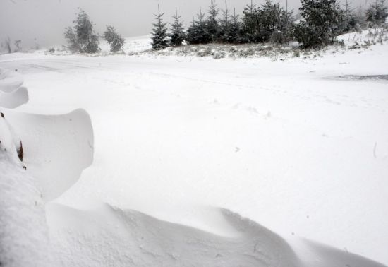 Okolí Dubí v severních Čechách | Foto: Jan Langer