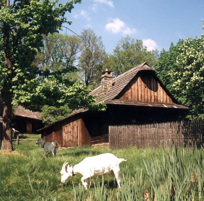 Rožnov pod Radhoštěm | Foto: Czechtourism