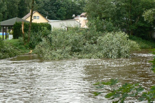 V Plzeňském kraji zaměstnaly hasiče především popadané stromy na Šumavě. | Foto: HZS Plzeňského kraje