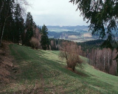 Bílé Karpaty | Foto: Aktuálně.cz