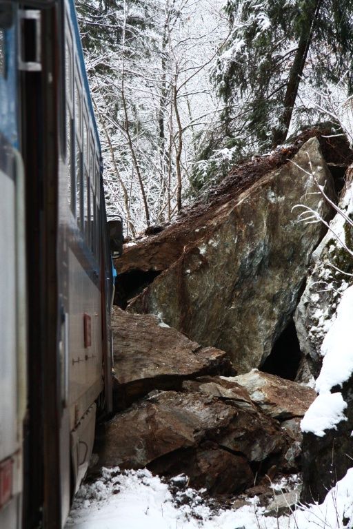 Nehoda se stala v 06:34 mezi Poniklou a Hrabačovem na Semilsku, asi 400 metrů od křižovatky na Roprachtice. "Vlak jel směrem od Poniklé," řekl mluvčí policie Petr Kmínek. | Foto: HZS Libereckého kraje