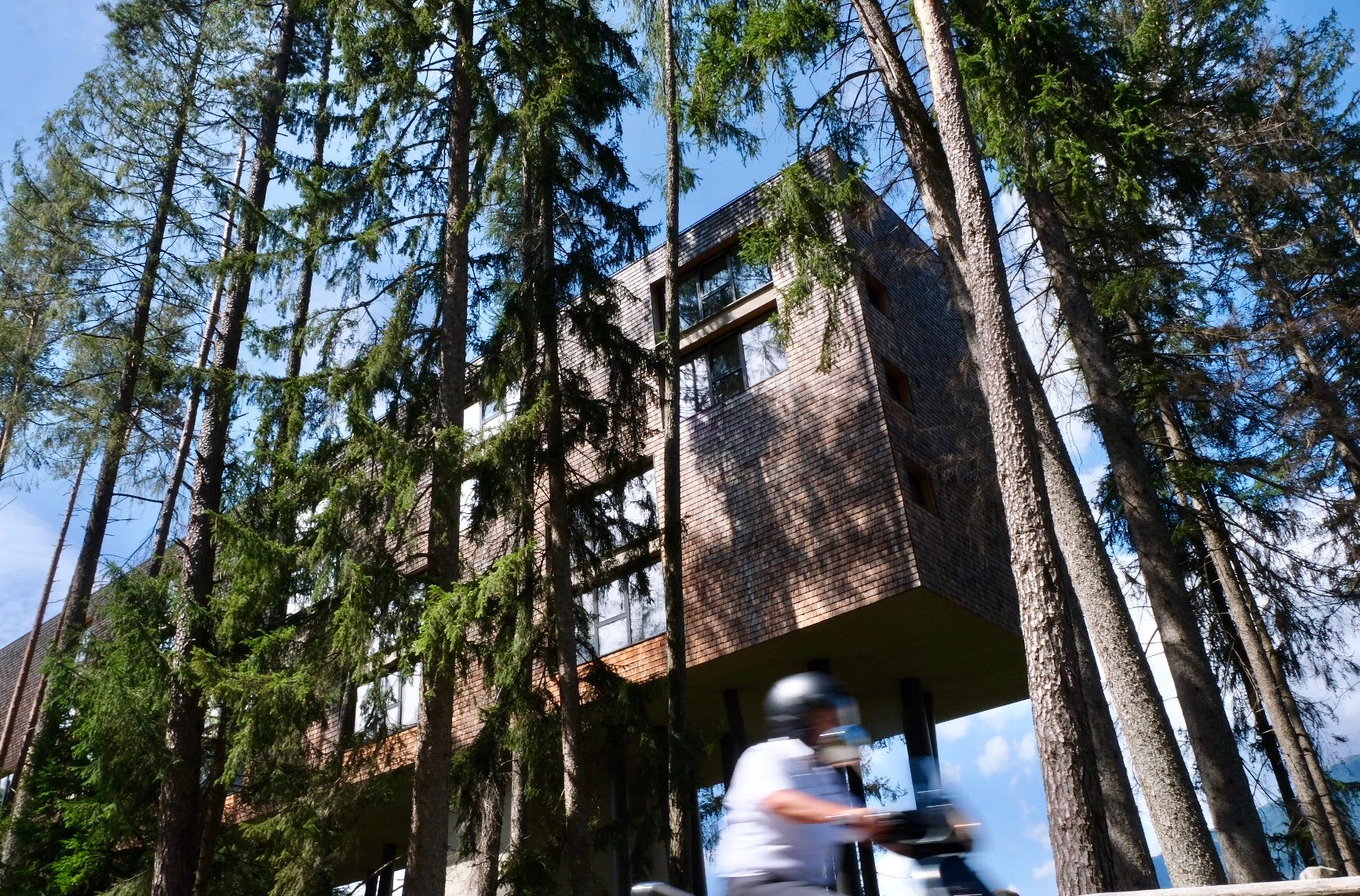 Il più grande hotel sugli alberi d’Italia sorge su palafitte.  Questa camera può ospitare solo adulti e cani