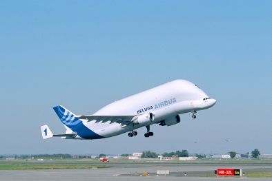 Transportní "delfínkovitý" letoun Beluga | Foto: Airbus