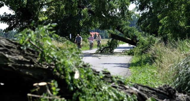 Vichřice se v noci na 6. července přehnala Královéhradeckým krajem. Neprůjezdná byla silnice ze Svinar na Krňovice | Foto: ČTK