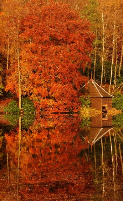 A opět podzim u skotského jezera Loch Dunmore. | Foto: Reuters