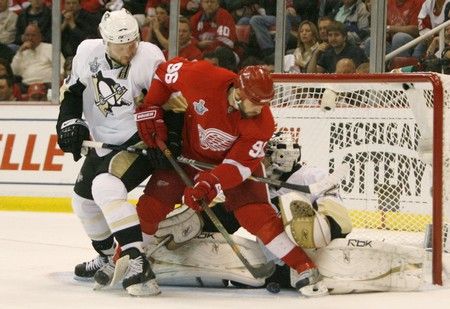 Tomas Holmstrom se do souboje před brankou nebojí... | Foto: Reuters