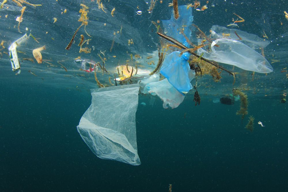 There will be more plastic than fish in the oceans in 30 years, says UN Secretary-General