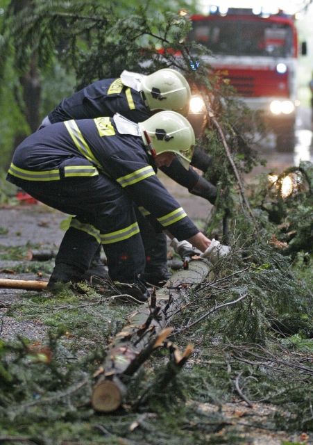 Hasiči odstraňují padlé stromy, které po větrné smršti a přívalových srážkách zatarasily silnici u Třeště na Jihlavsku. | Foto: čtk