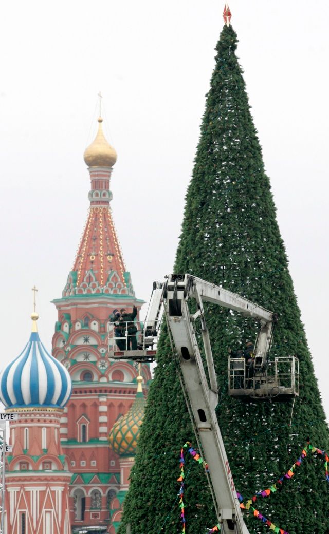 23. listopadu nainstalovali dělníci vánoční stromek i na Rudém náměstí v Moskvě. | Foto: Reuters