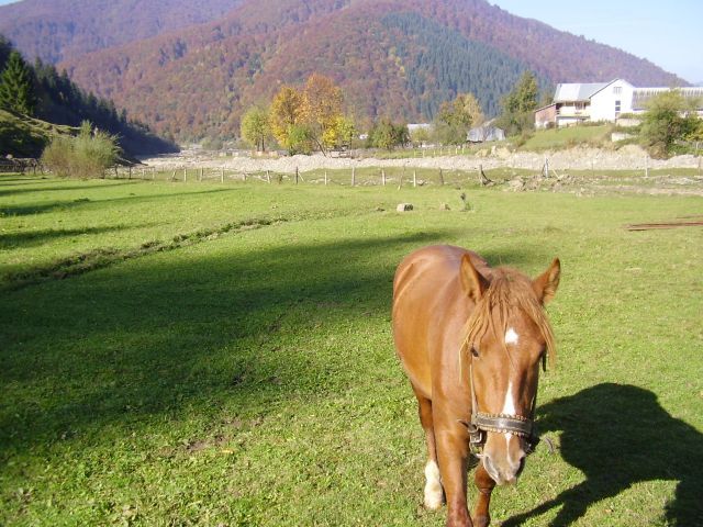 Vesnice Koločava kdysi ležela na československo-polských hranicích. | Foto: Martin Novák