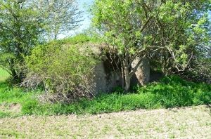 V obci Velké Heraltice je ke koupi i tato železobetonová stavba z roku 1938. Ministerstvo její cenu vyčíslilo minimálně na 25 000 korun. | Foto: Ministerstvo obrany ČR