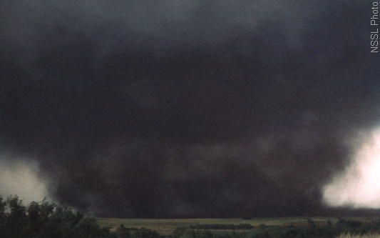 ... na něj podíváte zblízka. Tornádo nazvané "The Wedge" mělo sílu F4, rok 1981. | Foto: NOAA / National Severe Storms Laboratory