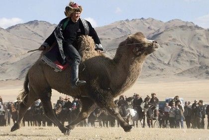 Velbloudi závody jsou velmi populární v mnoha zemích Afriky, Blízkého Východu i Asie. Závodník během turnaje nedaleko mongolského Ulambátaru. | Foto: Reuters