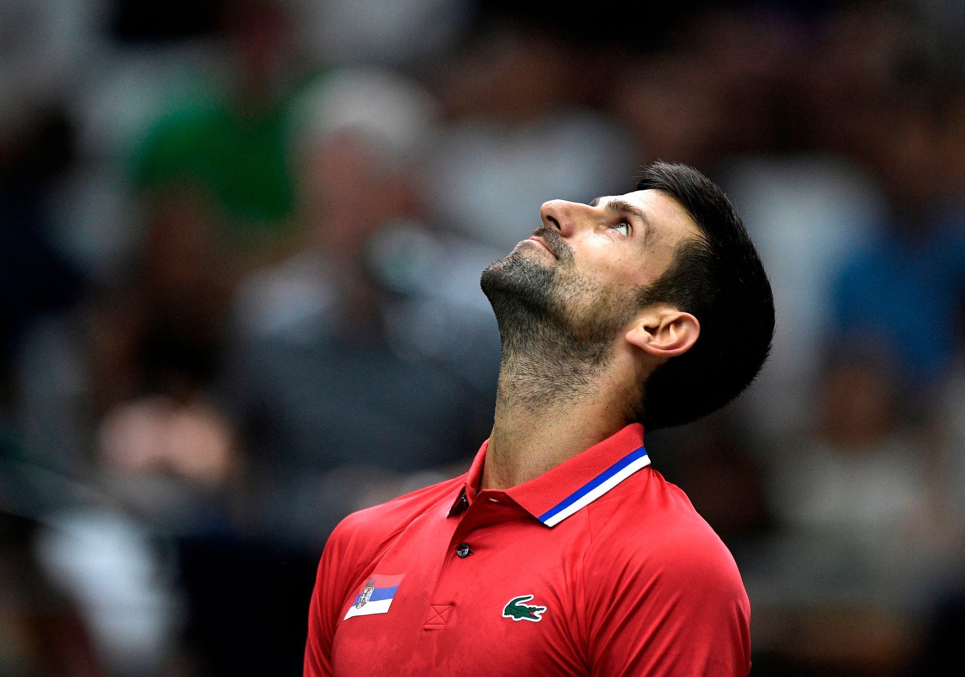 Djokovic s’est également incliné.  Les Tchèques ont clairement battu à cent pour cent la Serbie en Coupe Davis