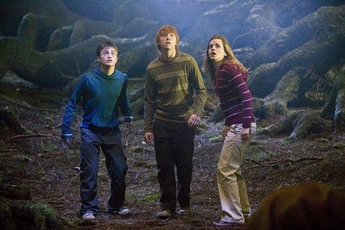 Harry Potter a Fénixův řád | Foto: Warner Bros.