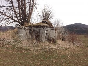 Tento řopík typu A-180 v Adolfovicích - ležící asi 800 metrů od silnice mezi Šumperkem a Jeseníkem - vyjde minimálně na 16 500 korun. | Foto: Ministerstvo obrany ČR