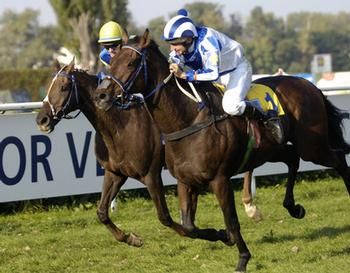 9.10.2005 - Maskul vítězí ve 115. Velké pardubické. | Foto: Stáj Valencio - František Holčák