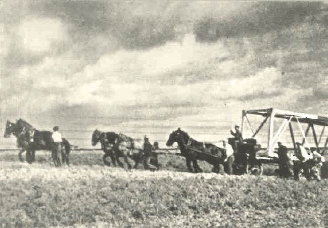 V roce 1927 bylo uvedeno do provozu první dálkové vedení o napětí 100 kV. Stožáry pomáhali tahat zapřažení koně. Rozvoj sítě 110 kV byl ale pomalejší, než se očekávalo. V roce 1938 délka všech těchto vedení dosahovala pouze 750 km z původně plánovaných 1400 km. Na snímku je stavba vedení Brno - Uherské Hradiště. | Foto: ČEZ, a. s. / www.cez.cz