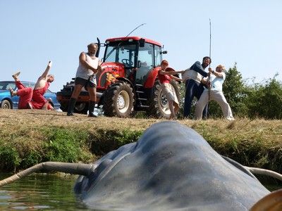 Poslední plavky | Foto: Bioscop