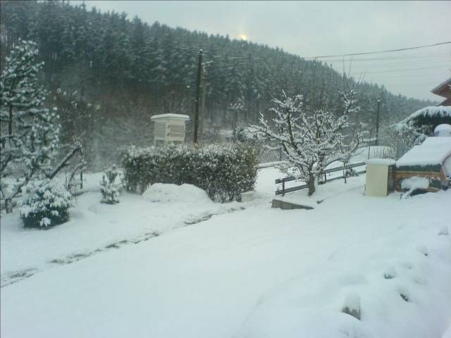 V Jihlavě stále slabě sněží, celkově zatím napadlo 10 cm, píše amatérský meteorolog Petr Janoušek. | Foto: Petr Janoušek