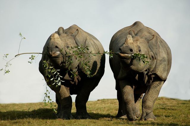 Foto: Zoo Praha