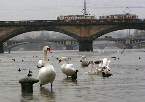 Foto: Ondřej Besperát, Aktuálně.cz