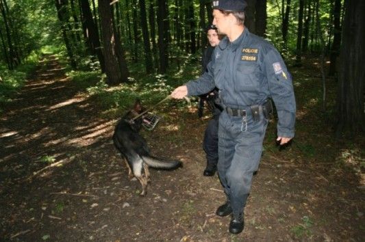 Foto: Policie Moravskoslezského kraje