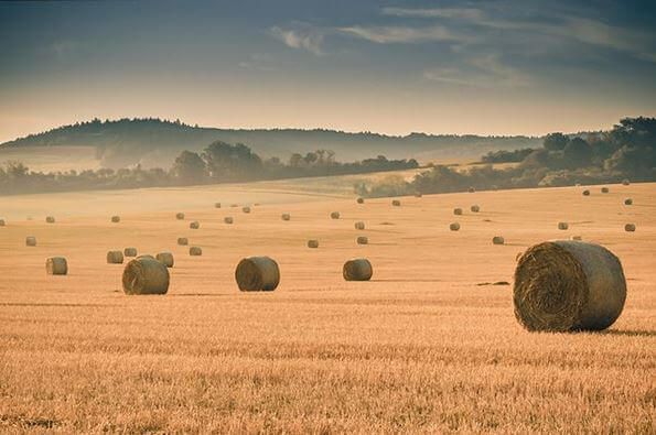 Žně Tomáše Vydržala. | Foto: CzechTourism, Tomáš Vydržal