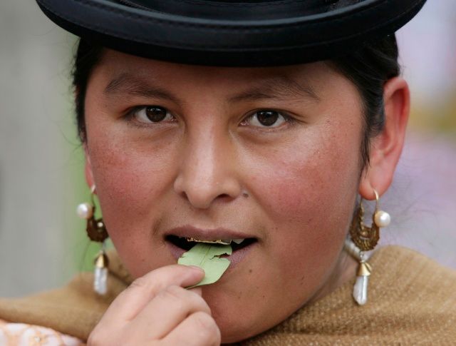 Bolivijci hořkou koku žvýkají společně například s jedlou sodou nebo popelem. Pomáhají uvolnit alkaloid | Foto: Reuters