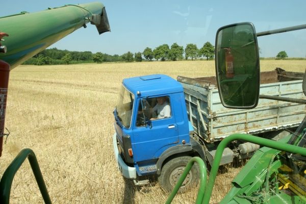 "Vystrčím rameno a snad ho napadne přijet," vysvětluje Molinek, jak se domlouvá s řidičem čekajícím na kraji pole. Pro jistotu ještě zatroubil. V Česku je řepkou, z které se vyrábí bionafta, oseto už 15 % veškeré zemědělské půdy a letos se jí podle Agrární komory sklidí až milion tun. | Foto: Karel Toman