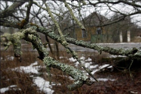 Lidé zónu kolem Černobylu už dávno opustili. Zbyly po nich pouze prázdné domy. | Foto: ČTK/AP