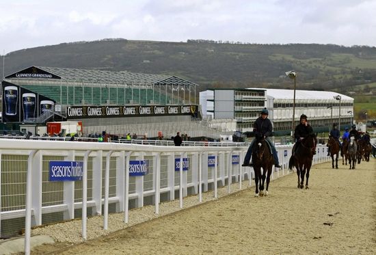 Dostihový jezdci v Cheltenhamu opouští opouštějí startovací zařízení. Ve středu se v Prestbury Parku závodit kvůli větru nebude. | Foto: Reuters