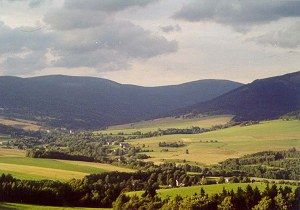 Jedná se o národní přírodní rezervaci s vzácnými druhy rostlin, hub či s vrchovištním rašeliništěm a fragmenty původních lesů. | Foto: Aktuálně.cz