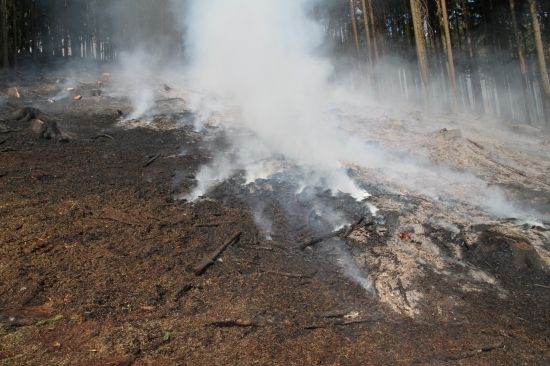 Foto: stanice Rychnov nad Kněžnou