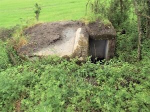 Jižně od přírodní památky Studánkový vrch a cca kilometr severně od rybníka Nesyt se nachází další z bunkrů. Minimální kupní cena je 90 400 korun. | Foto: Ministerstvo obrany ČR