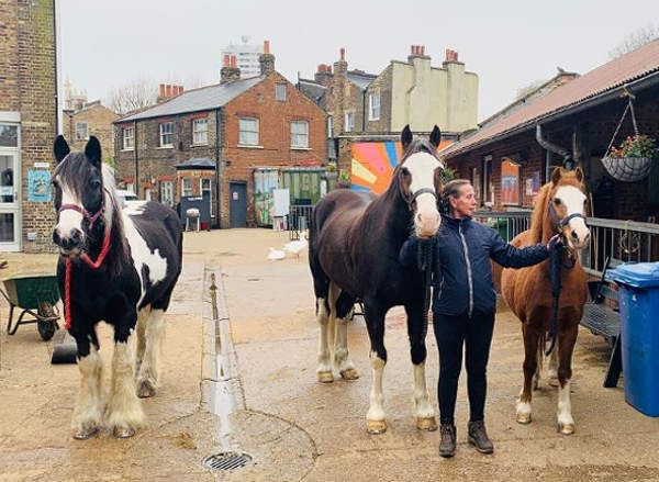 Foto: Kentish Town City Farm