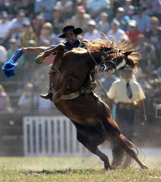 Pasák dobytka jede na nezkroceném koni během Kreolských slavností v Montevideu, 6. dubna 2009. Pasáci z celé země se sjíždějí do Montevidea během týdne Kreolských slavností, aby se utkali o cenu pro nejlepšího jezdce. | Foto: Reuters