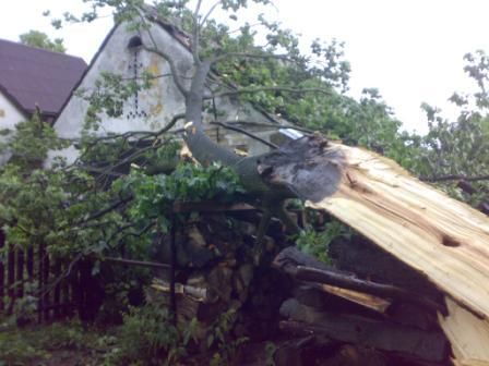 Vyvrácený strom na Svitavsku. | Foto: Libor Matouš - HZS Pardubického kraje