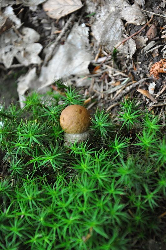 Snímek zaslala Kateřina Staňková. | Foto: Kateřina Staňková