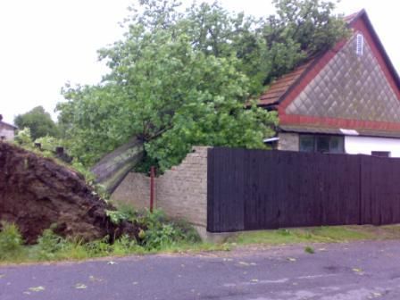 Vyvrácený strom na Svitavsku. | Foto: Libor Matouš - HZS Pardubického kraje