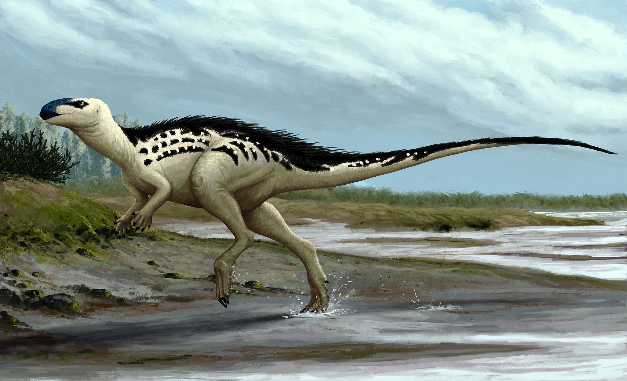 Динозавры это ящеры. Орнитоподы Юрского периода. Орнитоподы динозавр. Burianosaurus. Буриан Гадрозавр.