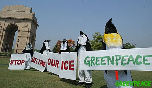 Protest Greenpeace v indickém Dillí - Aktivisté v převleku za tučňáky říkají: Přestaňte nám roztávat led. | Foto: Greenpeace