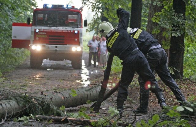 Hasiči odstraňují padlé stromy, které 12. července po větrné smršti a přívalových srážkách zatarasily silnici u Třeště na Jihlavsku. | Foto: čtk