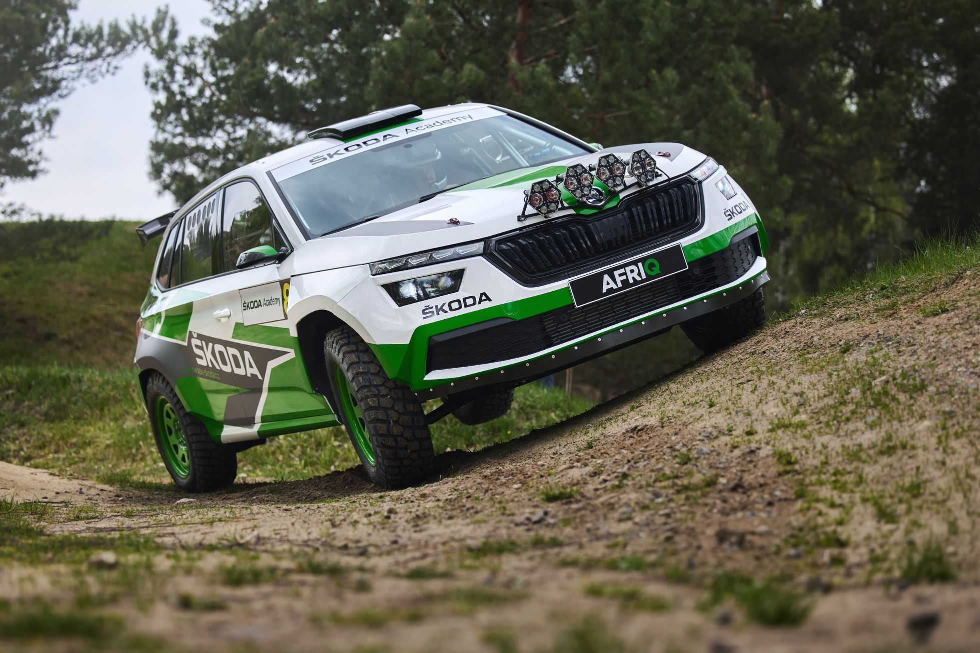 The only Škoda Kamiq with all-wheel drive.  Afriq is inspired by Dakar, he can make water