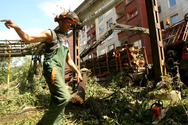 Pozor, odtud za chvíli sletí další strom. Tahle parta dřevorubců čistí v Handlové koryto od spadených i stojících stromů. Něco, co podle lidí dole po proudu mělo Povodie Váhu udělat dávno. "Naposledy se to pořádně pročistilo až za komunistů," stěžuje si Pavol Slávik. | Foto: Karel Toman