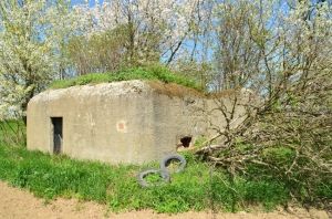 Ministerstvo prodává i řopík, který se nachází asi 500 metrů od zastavěné části obce Zlatníky. Pořídit ho lze za 18 100 korun. | Foto: Ministerstvo obrany ČR.