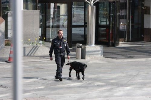 Hotel Hilton se připravuje na návštěvu amerického prezidenta. | Foto: Naďa Straková