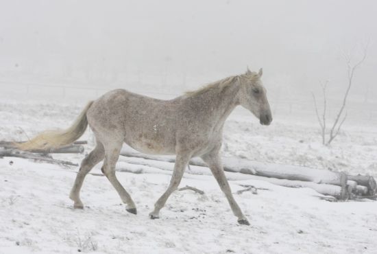 Foto: Jan Langer