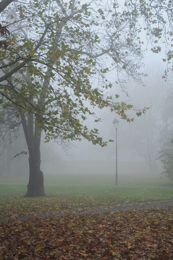 Foto: Aktuálně.cz