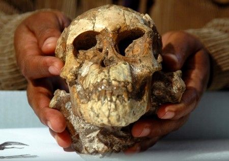 Etiopští archeologové oznámili nález kostry pravěké dívky staré 3,3 milionu let. Jsou přesvědčeni, že objevili nejlépe zachovaný skelet předchůdce člověka, jaký se dosud podařilo odhalit. Archeologové kostru pojmenovali Selam, což v překladu z amharštiny znamená mír. Řadí se k druhu Australopithecus afarnesis, který je jedním z ranných předchůdců moderního člověka. | Foto: Reuters